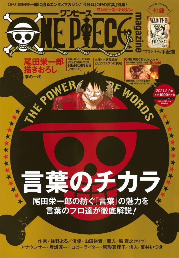 Capa One Piece Magazine 11