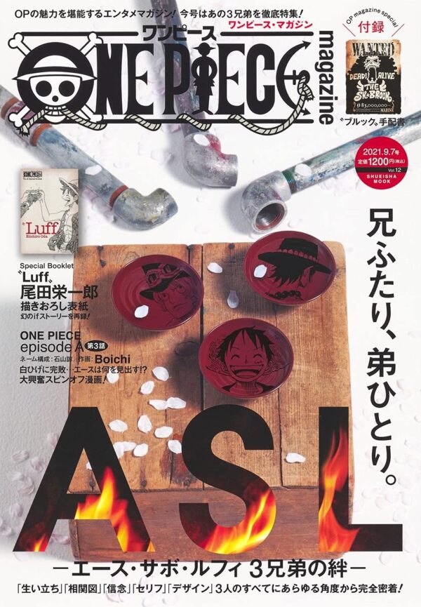 Couverture One Piece Magazine 12