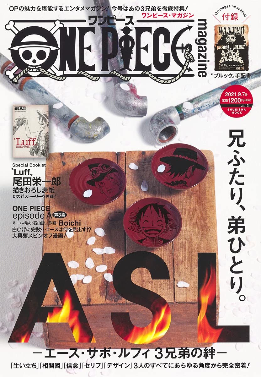 One Piece Magazine 12 - momozaru