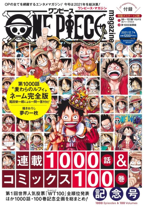 Couverture One Piece Magazine 13