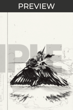 Set of 2 Bleach transparent pouches (Ichigo & Ichigo Vasto Lorde) - momozaru