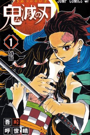 Cover of Demon Slayer Tome 1