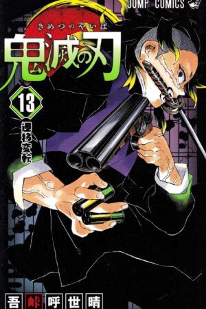 Cover of Demon Slayer Tome 13