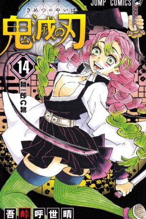 Cover of Demon Slayer Tome 14