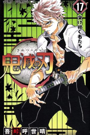 Cover of Demon Slayer Tome 17