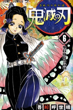 Cover of Demon Slayer Tome 6