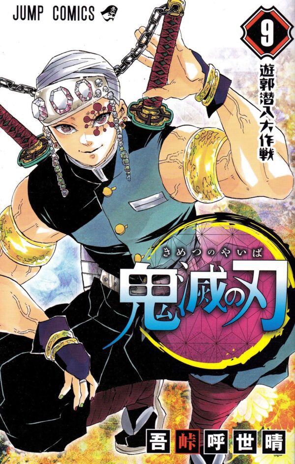 Cover of Demon Slayer Tome 9
