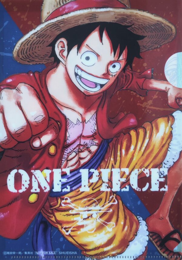 One Piece transparent pouch Recto